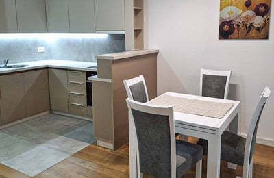 Location d’un appartement lumineux de 2 pièces, 46 m², Block A Residence, Nouveau Belgrade, Serbie